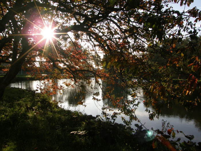 Simrishamn Oktober -08