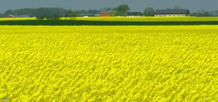 Skåne
