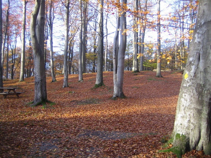 Skånehelg 2007
