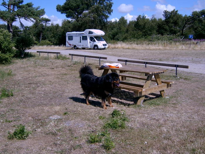Skanör -falsterbo Sem -08 Badpaus