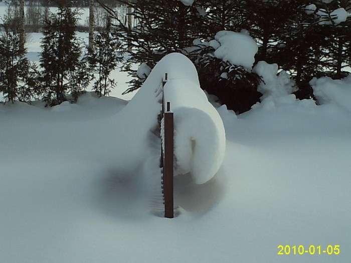 Snötider