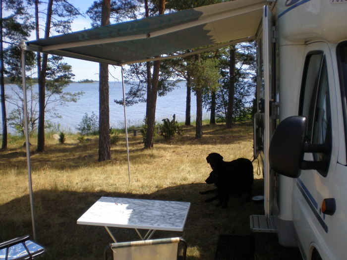 Sommar 2008
