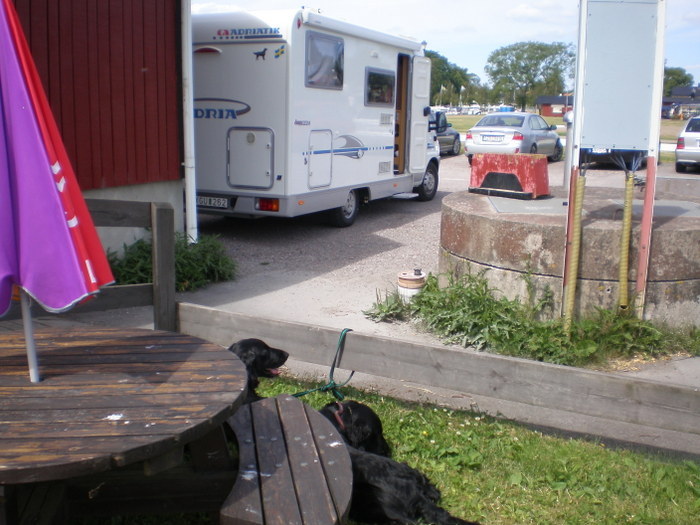 Sommar 2008