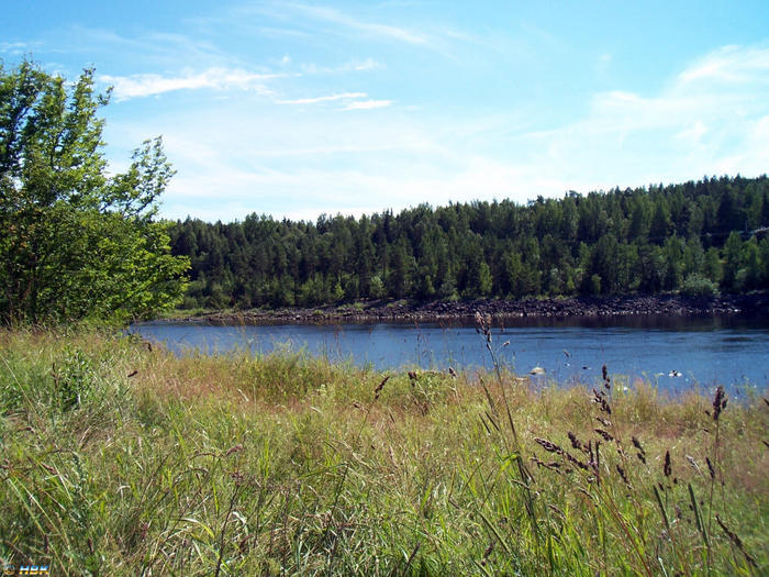 Sommarbilder