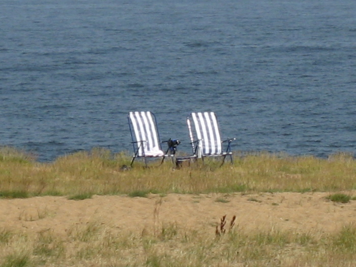 Sommaren 2007 