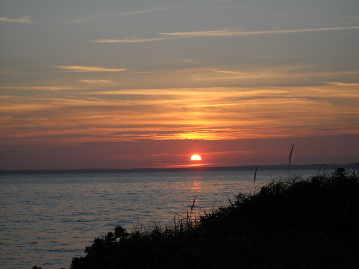 Sommaren 2007 