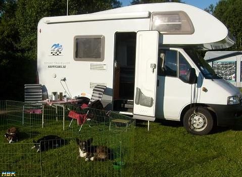 Sommaren 2008