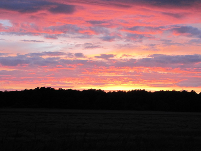 Sommaren 2010