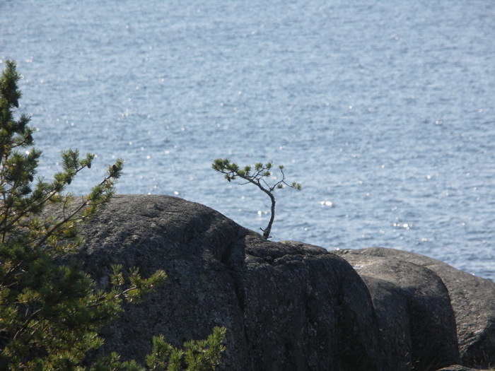 Sommaren 2010