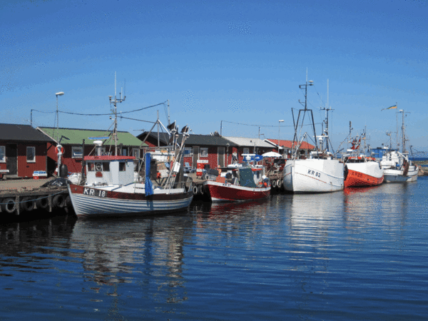 Sommaren 2010