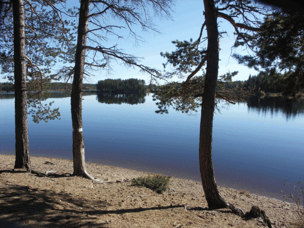 Sommaren 2010