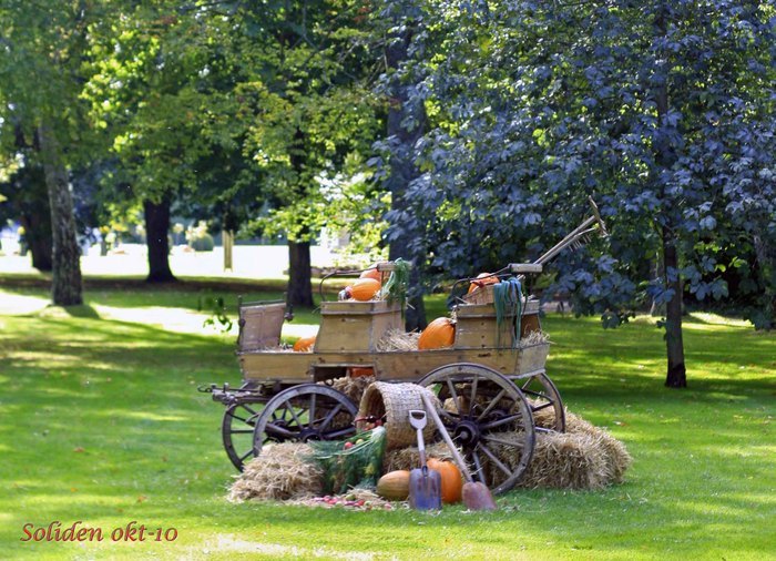 Sommaren 2010
