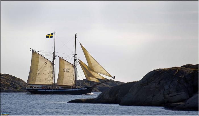 Sommaren 2011