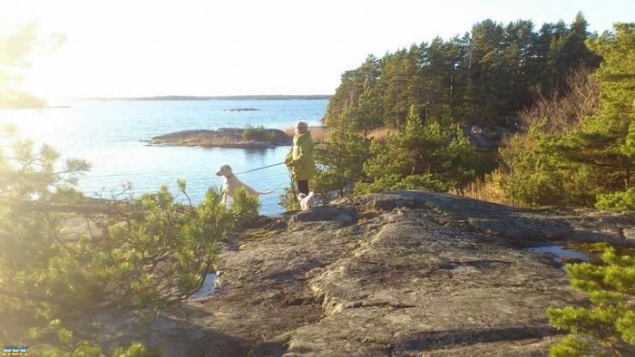 Stendörren I November!