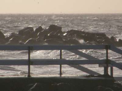 Storm I Helsingborg 19/1 -08