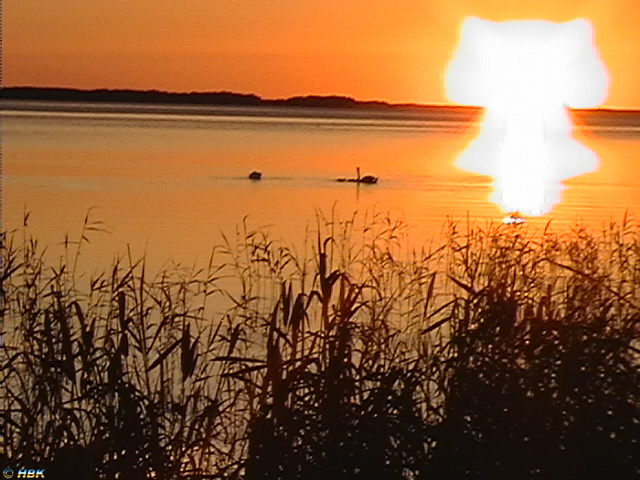 Sverige 07