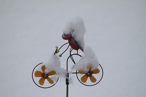 Syrsan Har Det Svårt I Snön