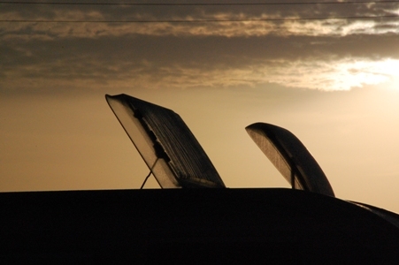 Takluckor I Morgonsol