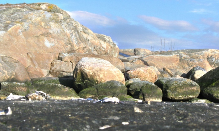 Tidig Vår På Västkusten