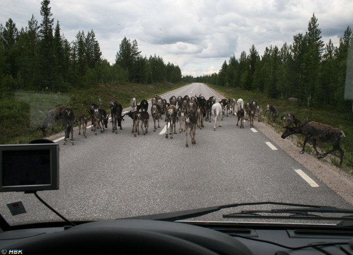 Trafikstopp i Lappland juli 07