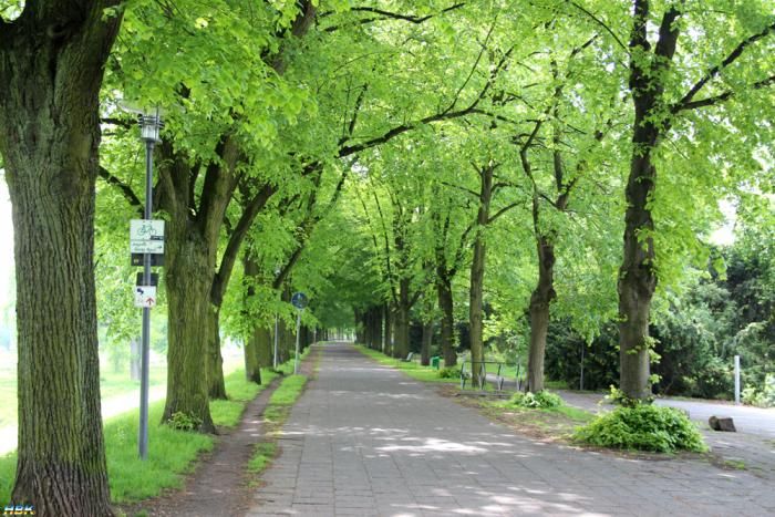 Tyskland