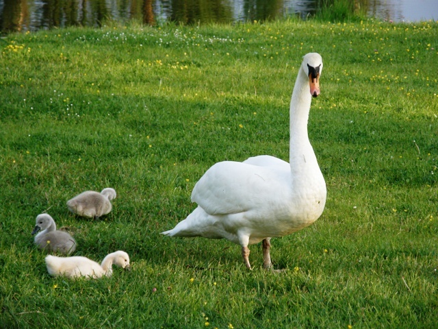 Tysklandsresa Maj 2008