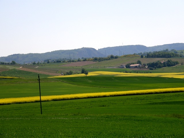 Tysklandsresa Maj 2008