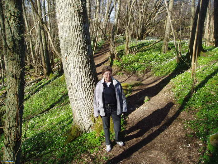 Vårdag i Vargön 2007