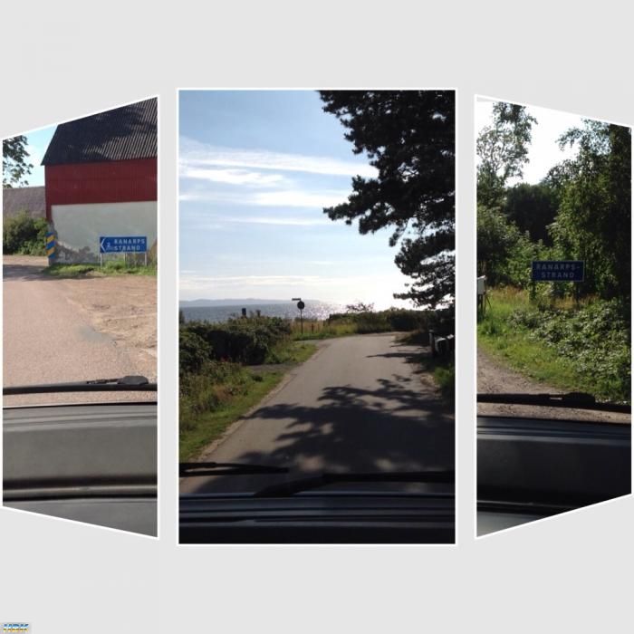 Vårtsmultronställe