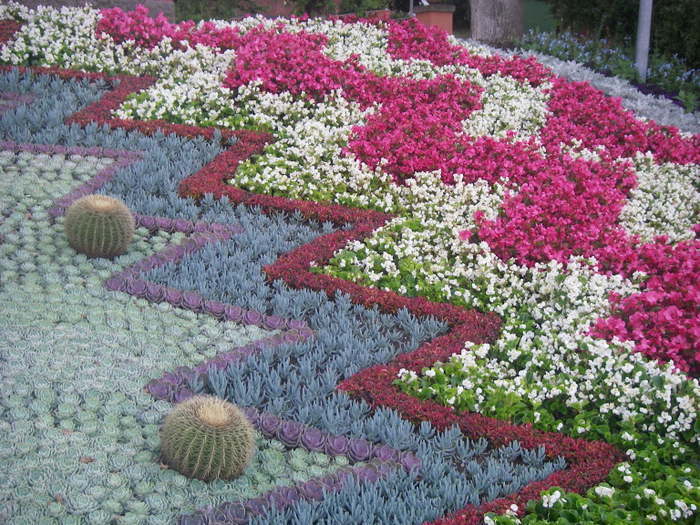Vackra Blomster-08