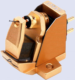 Vadv21