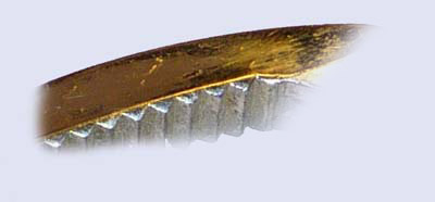 Vadv851