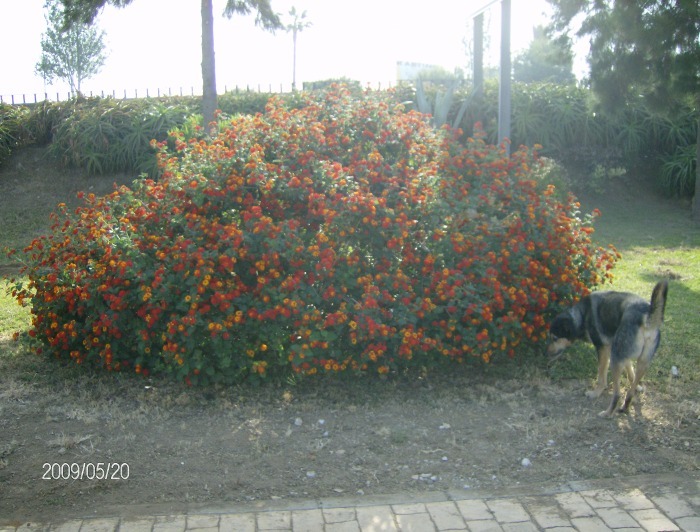 Vatten Parken  005