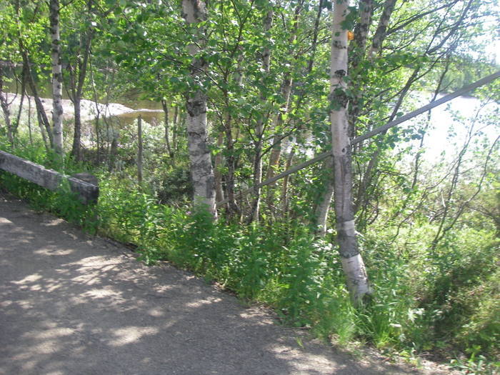 Vid Vägkanten-08