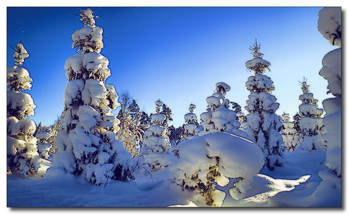 Vinter I Bohuslän