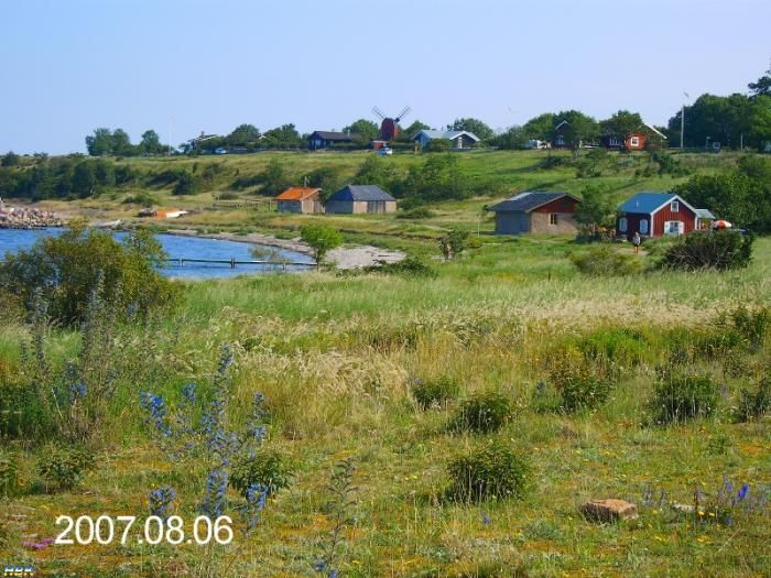 Vybild