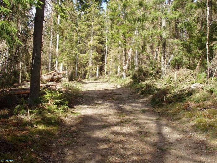 Yxnanäs efter Gudrun